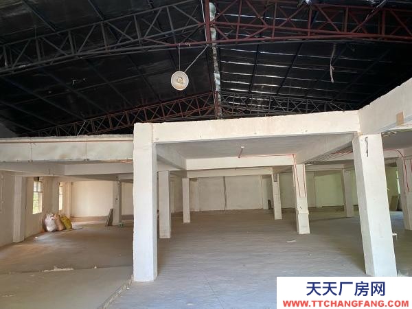 贛州市瑞金家具廠 廠房倉庫出租，沙子崗石井保障房