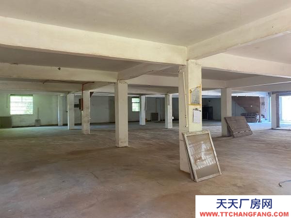 贛州市瑞金家具廠 廠房倉庫出租,沙子崗石井保障房