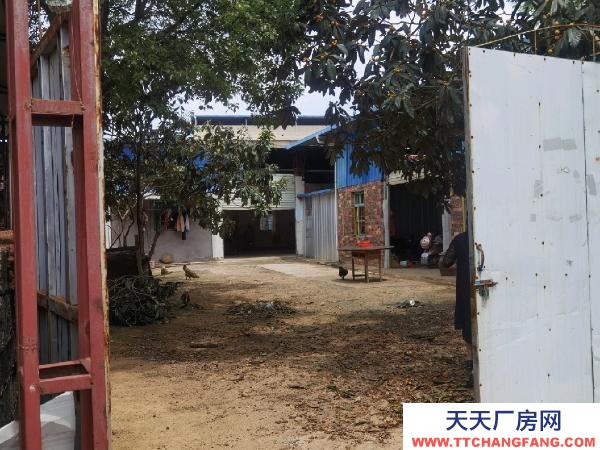 贛州市瑞金機加工廠房 可做廠房,倉庫,多間工人房