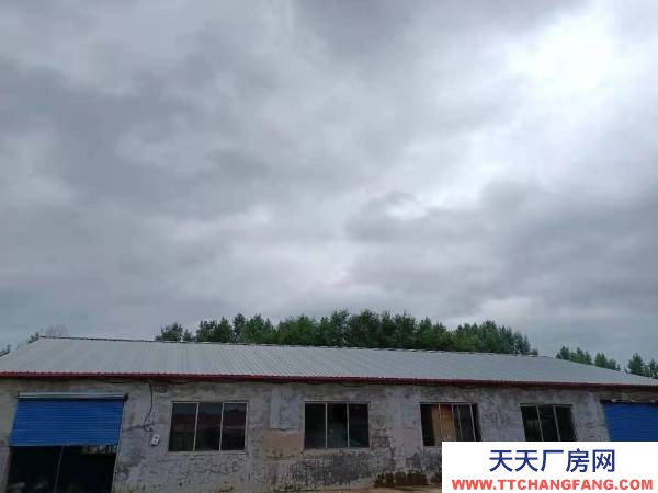 東安西十一江橋，過興隆小橋去海浪村方向，500米，道北 養殖廠房