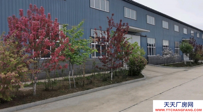 東安3000平米鋼結構，2800平方三層磚混 茶葉廠房