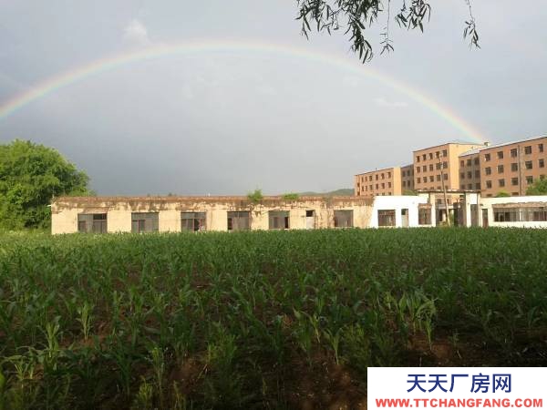 東安二發電對面有一辦公樓和大院對外出售價格面議