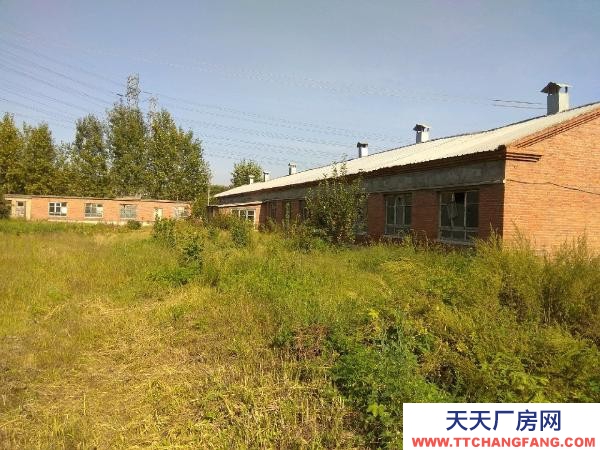 陽明近郊廠房出租可做養殖工廠旅游山莊