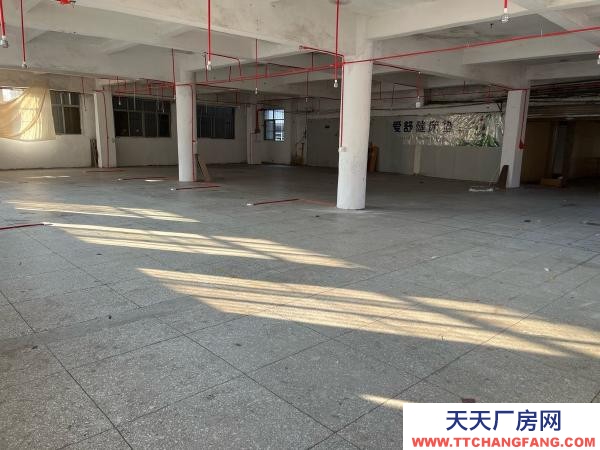 贛州市瑞金電子廠房 廠房可用于 服裝廠 電子廠 培訓(xùn)中心
