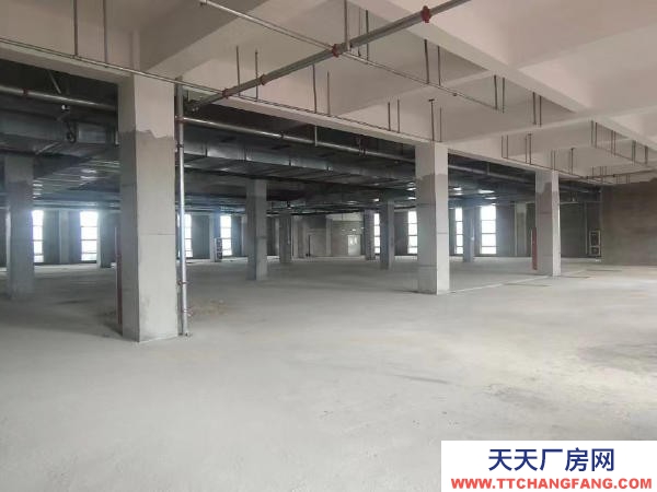 贛州市信豐調(diào)味品廠房  出租信豐高標(biāo)準(zhǔn)廠房適用于電商直播加工辦公倉儲