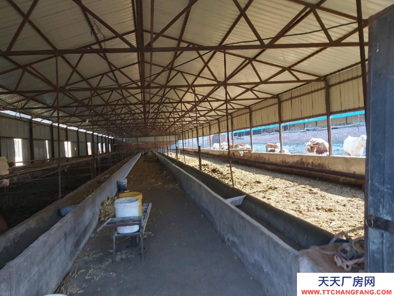 承德 開發區(出租) 交通便利，水電齊全，可養殖，倉庫，