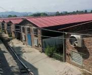 (出租) 出租廣西疊彩大河鄉(xiāng)廠房2000-3000平證件齊全