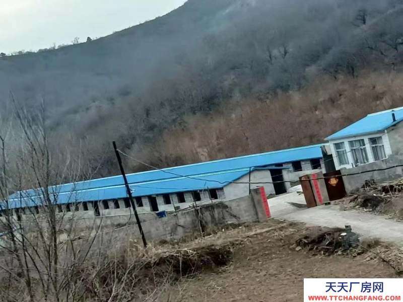 承德 承德縣(出售) 兩排養(yǎng)殖場，一套住房