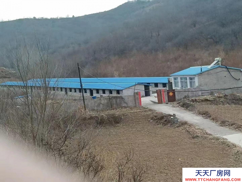 承德 承德縣(出售) 兩排養(yǎng)殖場，一套住房