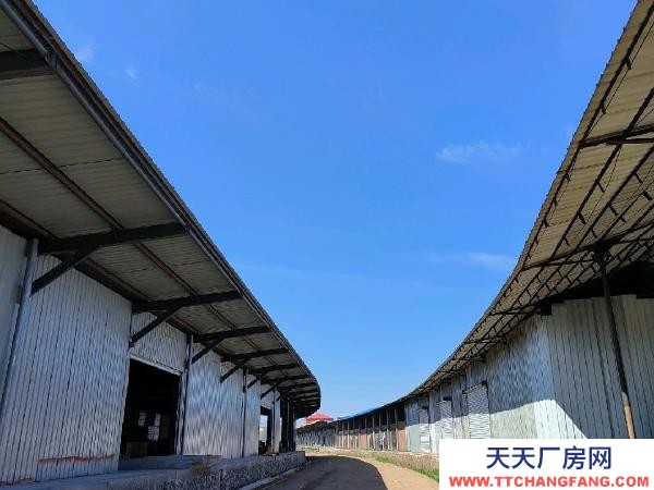 愛民出租標準庫房、場地、站臺庫房