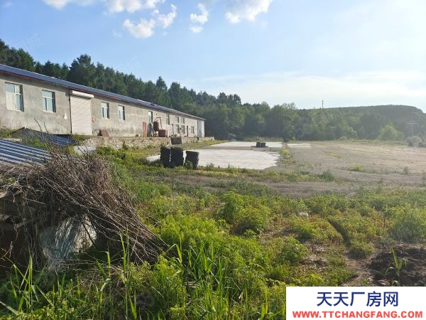 愛民區白酒廠房900平占地9450平 誠心賣