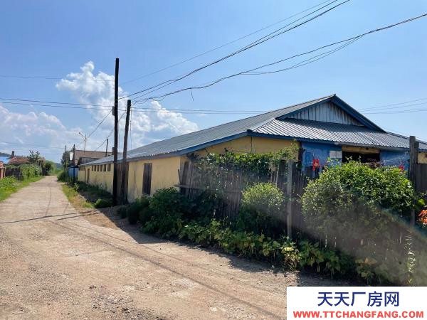 寧安出售東京城鎮粉條加工廠