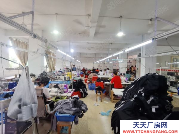 贛州市于都金制衣廠 于都工業園興樂路廠房出租 可用于辦公 培訓工作室 交通便利