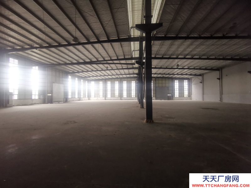 天府新區庫房出租，成新蒲旁，2000平可進大車