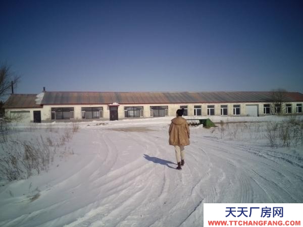 北安周邊，養殖場出租出售