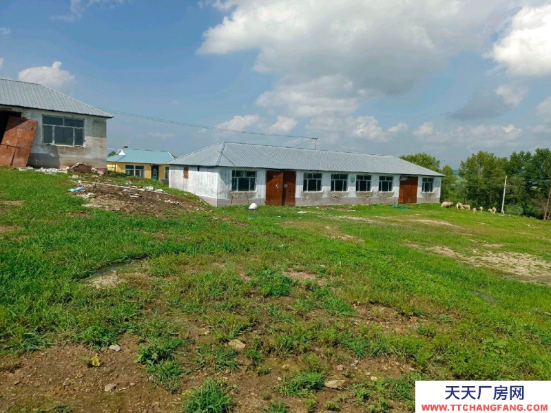 (出售)呼倫貝爾 養殖場出租出售，院內面積1.2萬㎡，可養殖豬牛羊，