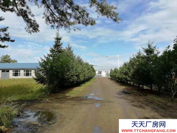 北林城區 綏蘭路9公里 粉條加工廠房 1500平米