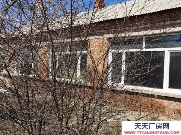 北林一萬平米，500平廠房養殖廠房