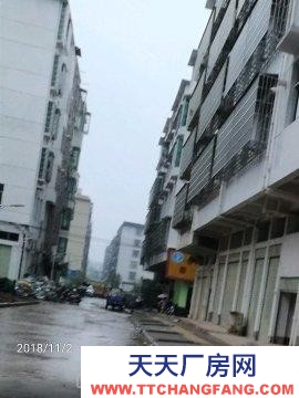 贛州市于都金制衣廠  于都縣貢江鎮(zhèn)上歐工業(yè)園里仁路193#、 廠房、辦公（二樓）