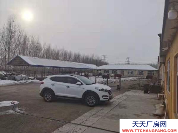 北林出租養殖場，交通便利，養殖的地段