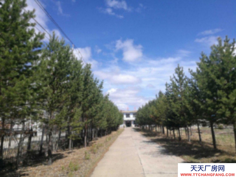 (出租) 出租出售根河市滿歸鎮華茂大院