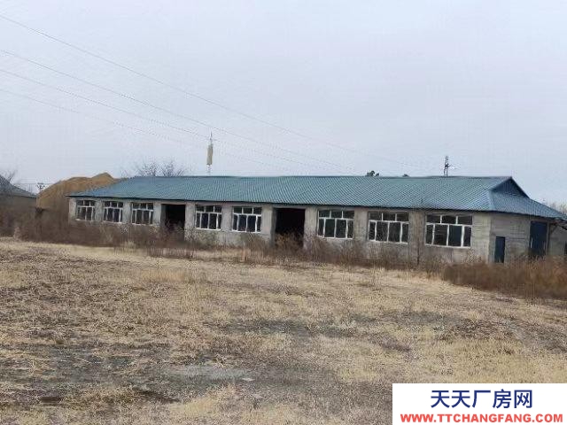 (出售) 阿榮旗出租出售，廠房6棟，住宅一棟，宿舍一棟