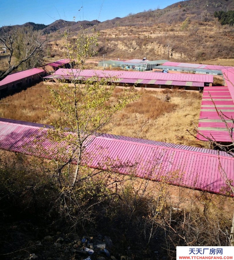 承德 灤平(出租) 適合各種養殖，手續齊全