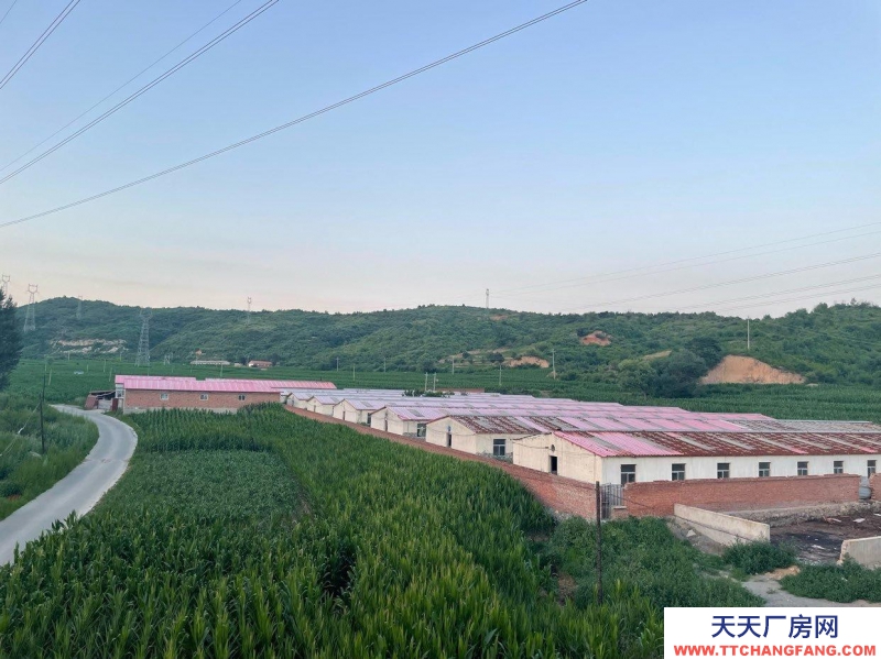 承德 灤平(出租) 豬養(yǎng)殖場 可租可售 證件齊全