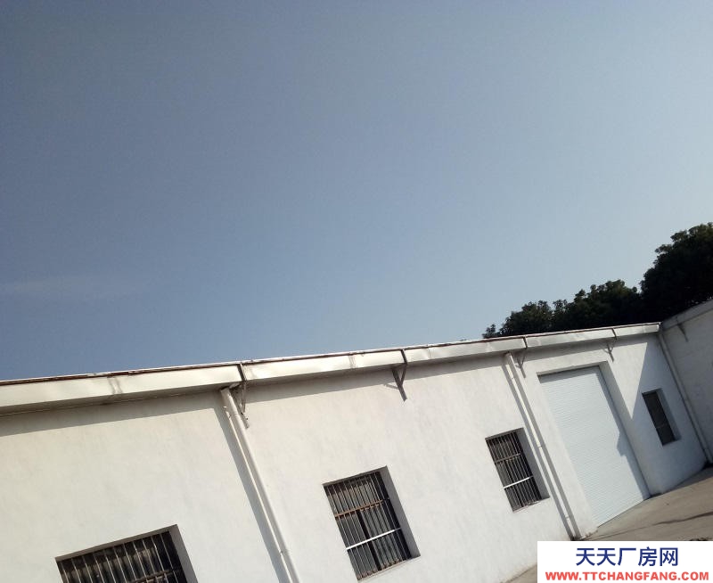 (出租) 徐州睢寧官山鎮吳橋村10畝地農村大院子適合養羊養兔倉庫