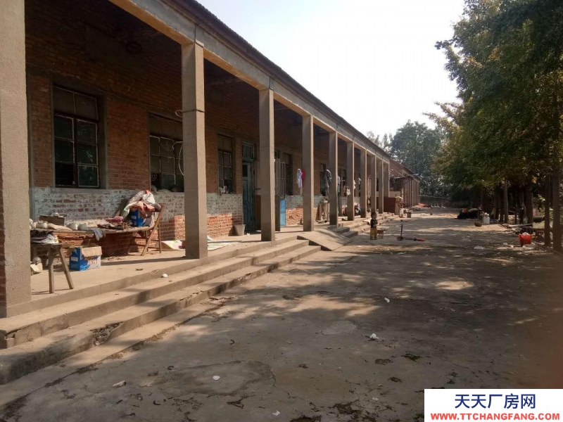 (出租) 徐州新沂27間大教室，原來的學(xué)校適合物資倉庫