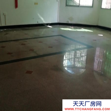 贛州市上猶機加工廠房 上猶縣東山鎮東門口整棟1-2層出租帶前后大院