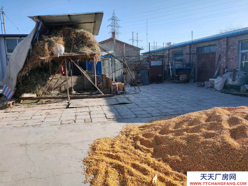 (出租) 巴彥淖爾 糧食食品倉庫 緊鄰站前大道，左鄰右舍南，三間庫房出租