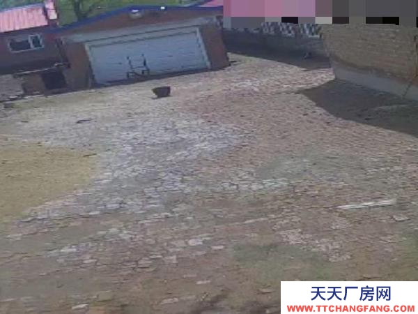 蘭西肖天洞村現(xiàn)有豬場,設(shè)備齊全,