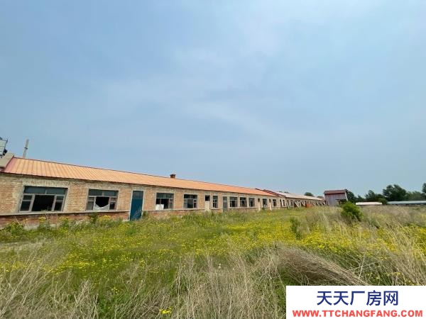 蘭西榆林鎮(zhèn)202國道50米處15000平電子廠房