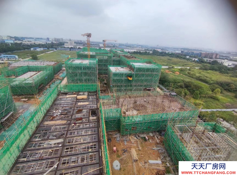 雙流區全新廠房招商可分割產權