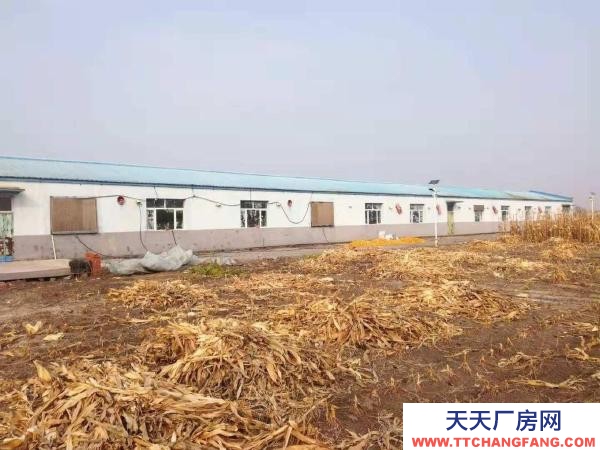 肇東市區(qū)南5公里萬通駕校附近玉米加工廠房