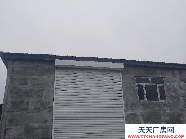 肇東鐵東 倉庫 誠心出租