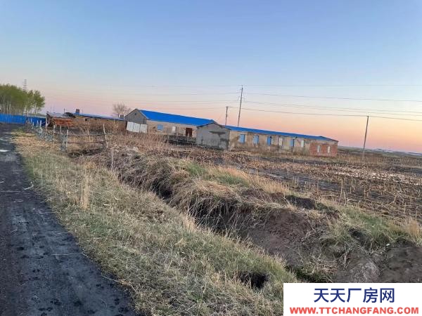 安達(dá)西十八里有15000多平！適合養(yǎng)殖！附帶3000多棵樹