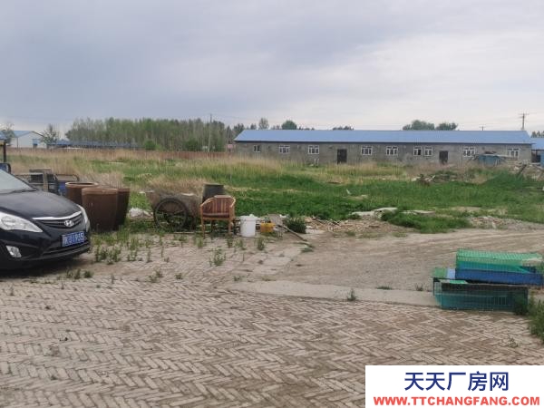 安達(dá)雞養(yǎng)殖場，現(xiàn)經(jīng)營中，設(shè)備齊全