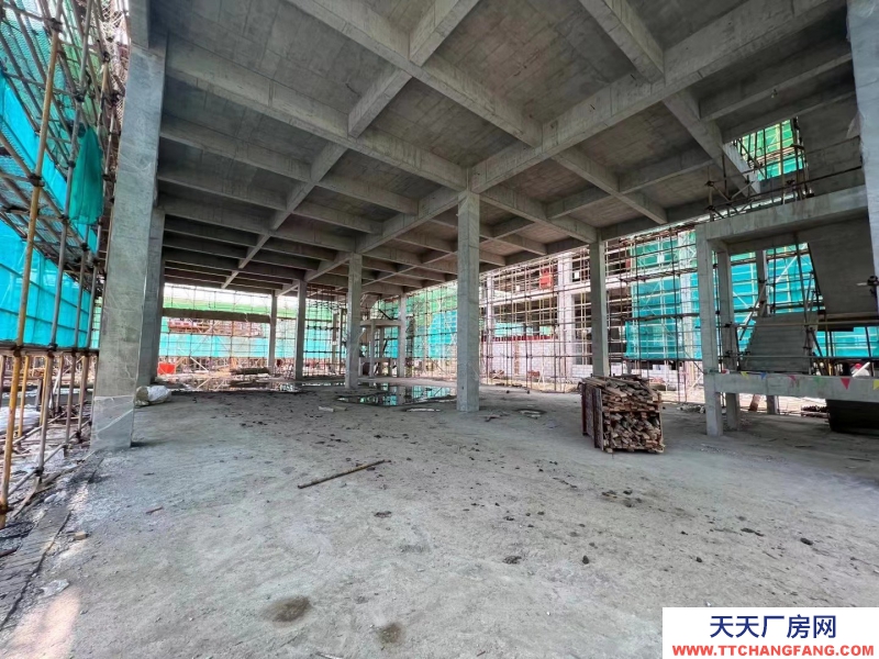 嘉興獨(dú)棟廠房出售首付100萬(wàn)起（非中介）