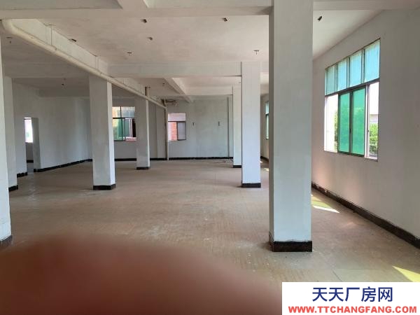 贛州市興國機加工廠房 興國紅門工業園廠房交通采光好