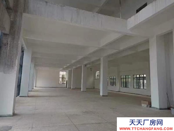 贛州市尋烏調味品廠房  出租新廠房，直接使用，江西省贛州市尋烏縣石排，可分租。