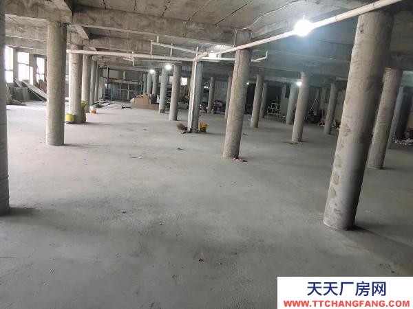 大通交通便利，價格實惠。