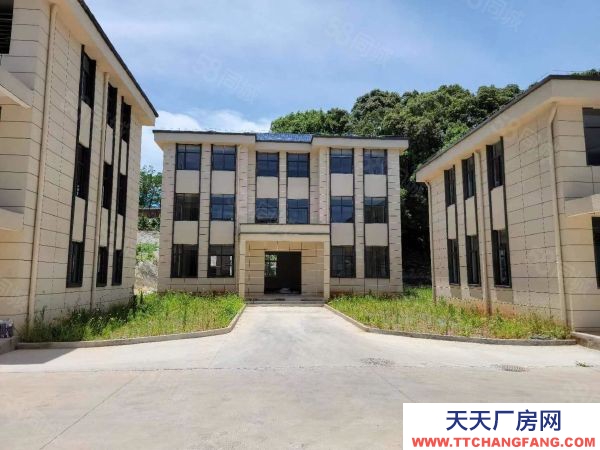 九江市潯陽物資倉庫  潯陽區智慧倉庫3000平可分租配套齊全交通方便