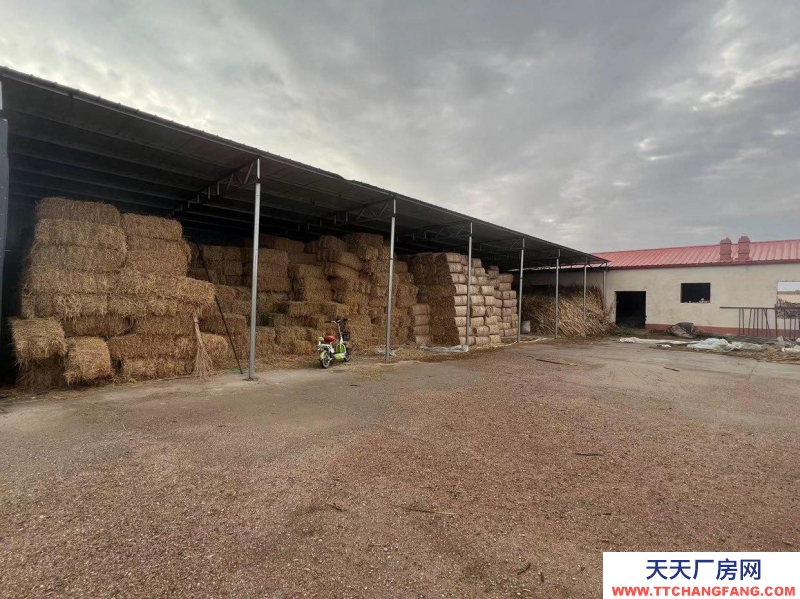 (出售)巴彥淖爾 租售養殖場收購庫房10畝左右
