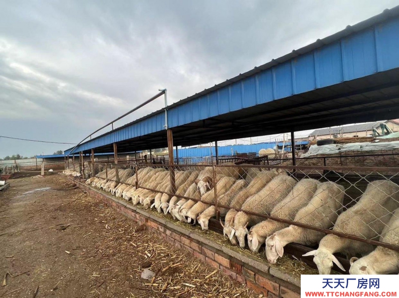 (出售)巴彥淖爾 租售養殖場收購庫房10畝左右