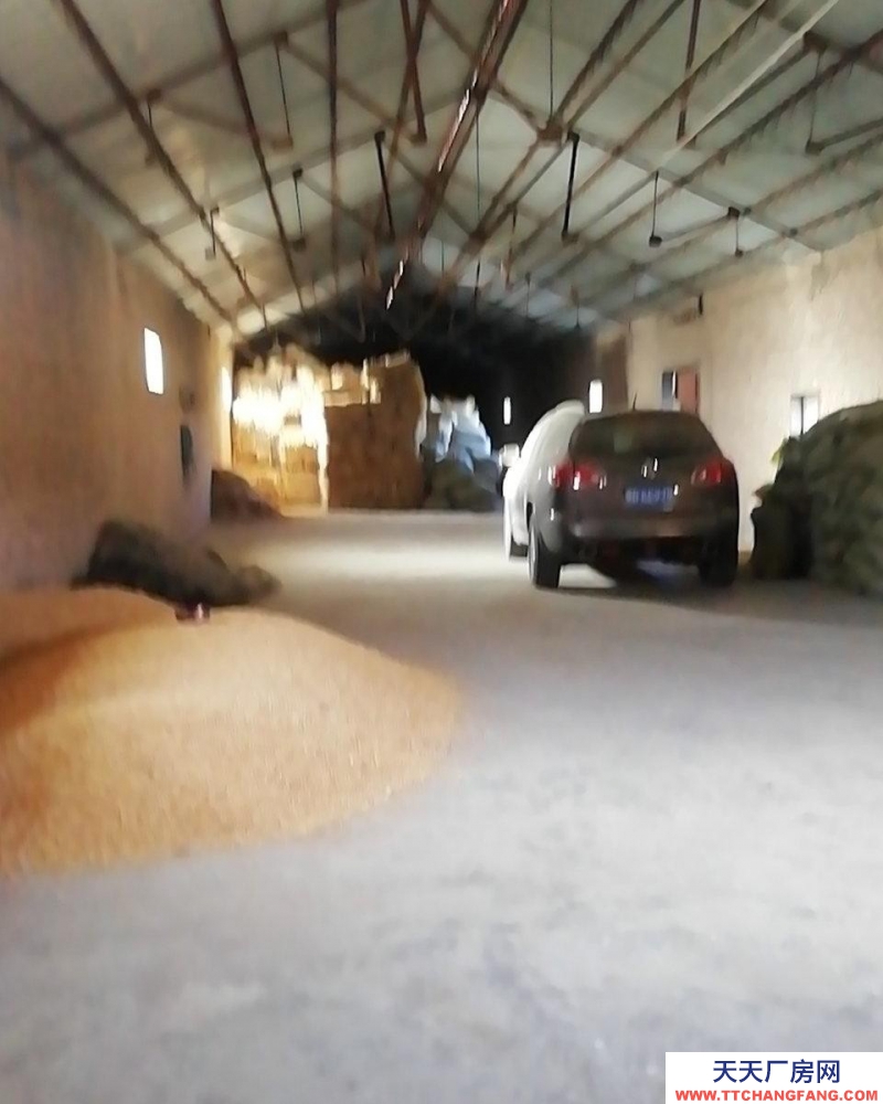 (出租) 烏中旗紅旗村212省錢178公里處大型養殖場出租