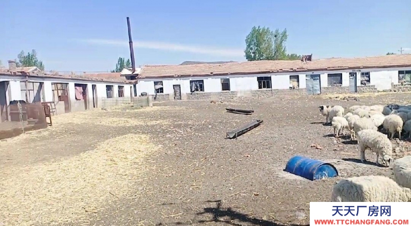 (出售) 烏蘭察布兩畝半大院廠房手續集寧機場北3公里大十號村