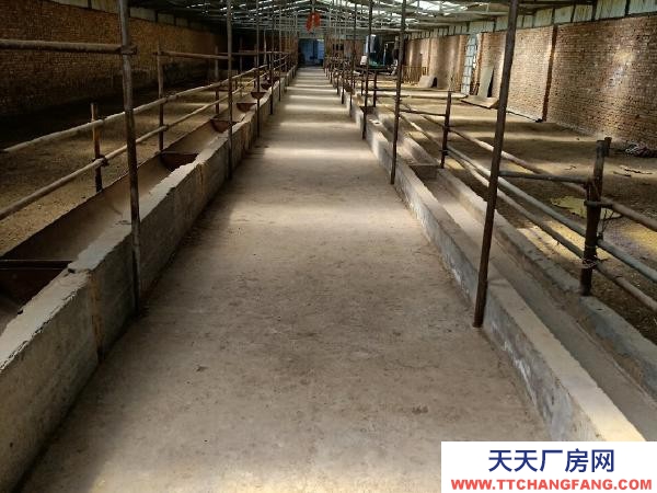 湟中出售自家養(yǎng)殖場條件優(yōu)越，地址是高店下營鄉(xiāng)，交通便利！