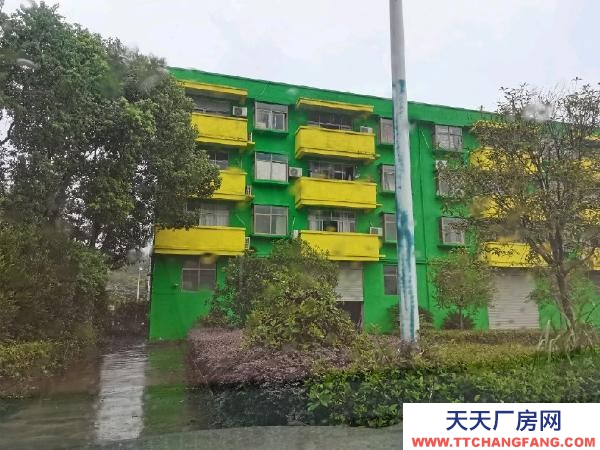 九江市武寧機加工廠房 8畝土地,已建兩棟,可租可賣